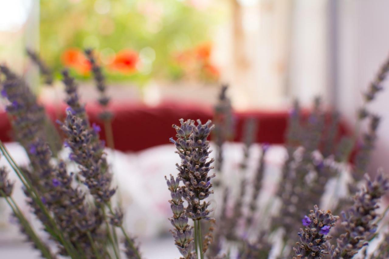 Apartment Vida - Amazing Place With Garden And Terrace Rijeka Exteriér fotografie